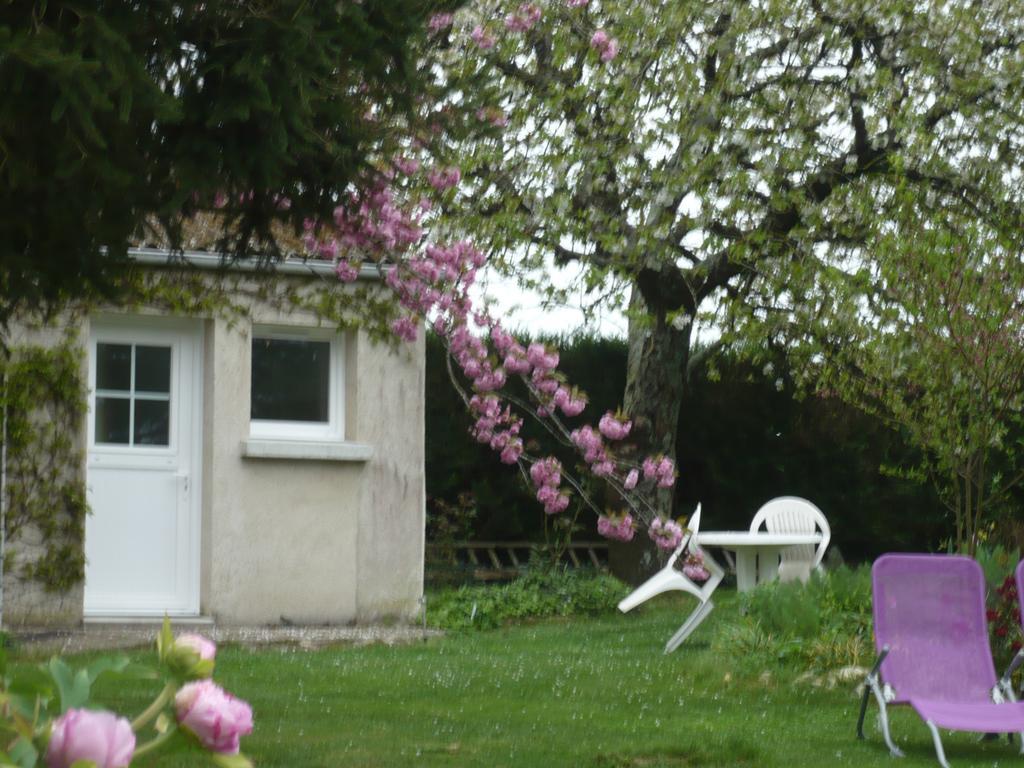 Chambres D'Hotes Anne-Marie Châtillon-sur-Indre 객실 사진
